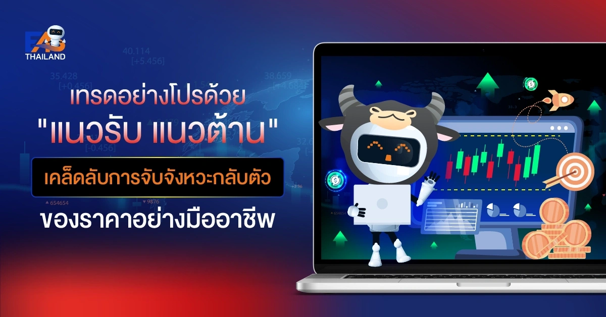 เทรดอย่างโปรด้วย แนวรับ แนวต้าน เคล็ดลับการจับจังหวะกลับตัวของราคาอย่างมืออาชีพ